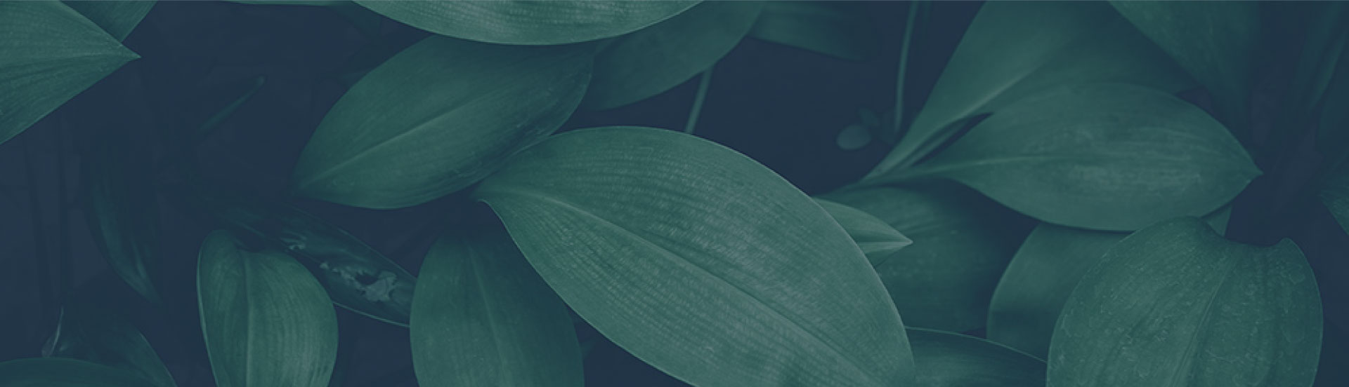 Innovita | Factory Made Hybrid Systems